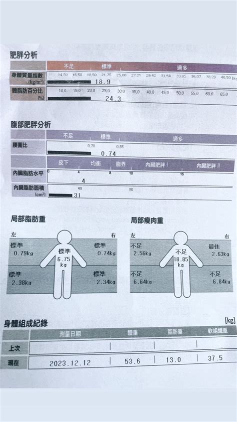 腹部肥胖分析